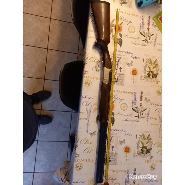 Fusil bettinsoli calibre 12
