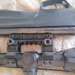 carabine a plomb RX20 S3 +Lunette truglo