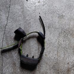 Centrale et 3 colliers spordog teck 2