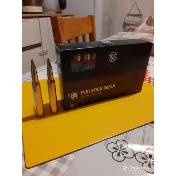 Rws �volution Green