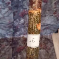 CANNE DE PIRSCH (57)