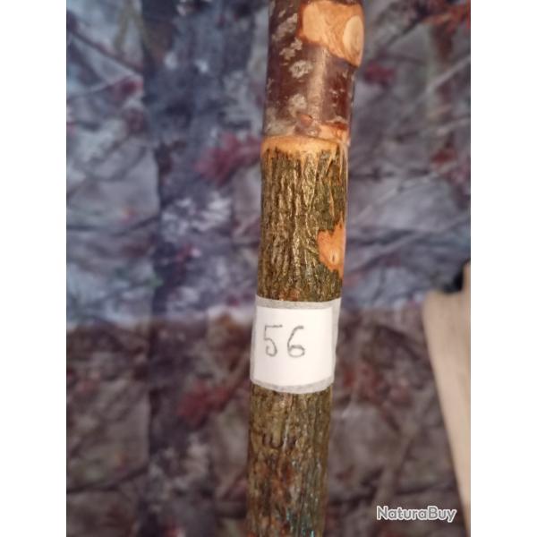 CANNE DE PIRSCH (57)