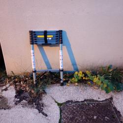 &Eacute;chelle telescopique