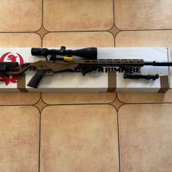 Carabine 22lr Ruger rimfire pr&eacute;cision