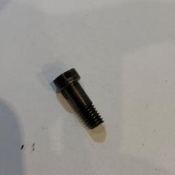 Vis de pontet courte G98