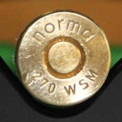 270 Winchester Short Magnum  ( WSM )