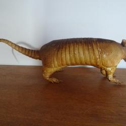 Ancien tatou empaill&eacute;