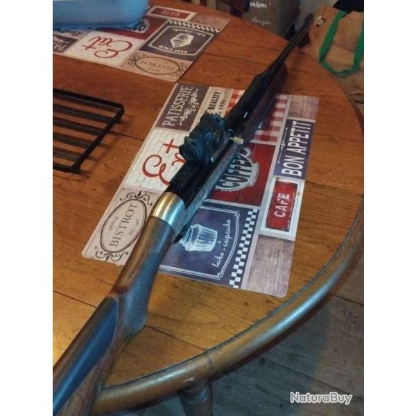 Carabine semi auto best �dition limit�e plus point rouge