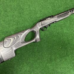 Ruger 10/22 lite target