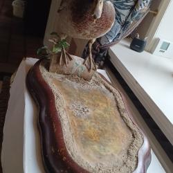 canard colvert naturalis&eacute;