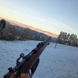 carabine Carcano 1891 en 6,5x52 vend ou &eacute;change