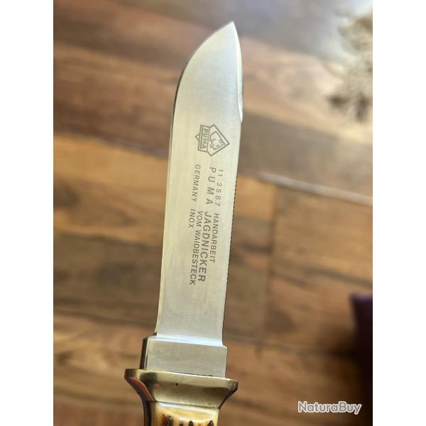 Puma Jagdknicker  fait main lame de 10 + �tui cuir vert anglais