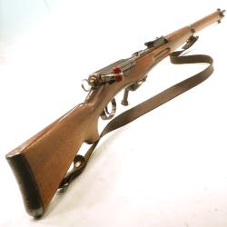 SZCHMIDT RUBIN    -    1889   -   22LR a un coup   -    Mono-matricule