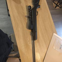 Carabine GAMO shadow 1000 + lunette de tir Nikko stirling mountmaster