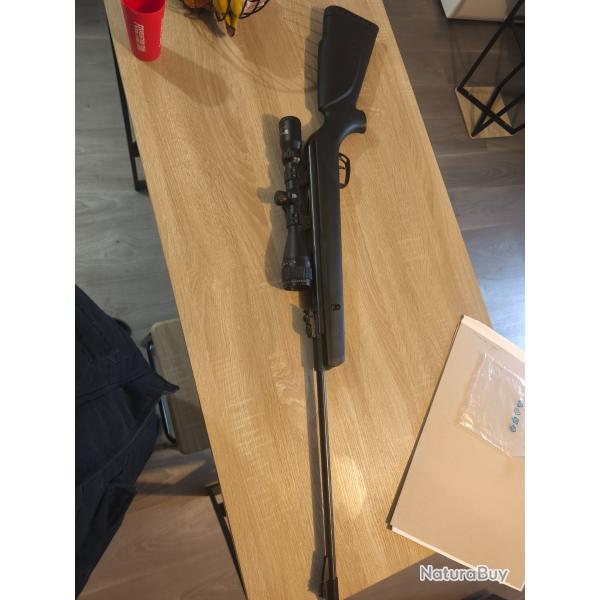 Carabine GAMO shadow 1000 + lunette de tir Nikko stirling mountmaster