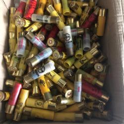 a saisir lot  de plus  5kg de cartouche ., cal 20 .tout  plombs,  , toute marque+   balles