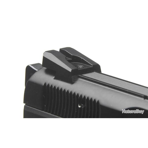 HAUSSE FIXE CZ SHADOW 2