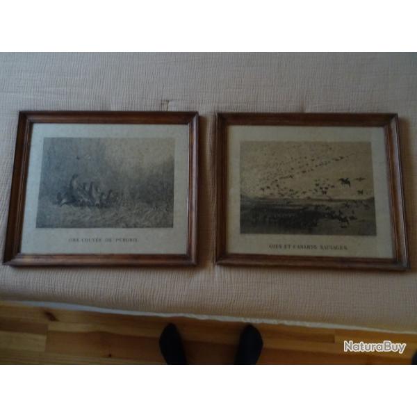 Paire cadres anciens , chasse au canards , perdrix ... gravure anciennes d' Eugen Kruger