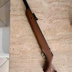 Carabine plomb 4,5 mm Gamo Cf30