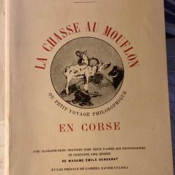 La chasse au mouflon en Corse