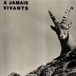 A jamais vivants Tome 2 : montagne, plaine Sommer Jacqueline