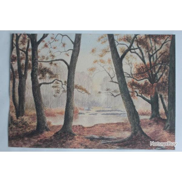 Aquarelle originale Sous-bois automnal