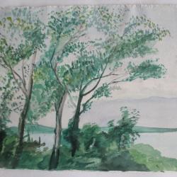 Aquarelle originale Paysage arbor&eacute; au bord de l'eau