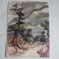 Aquarelle originale Engadine Arolles Silvaplana Suisse 1932