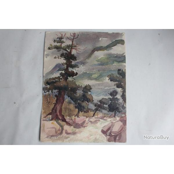 Aquarelle originale Engadine Arolles Silvaplana Suisse 1932