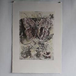 Gravure Eau forte originale Walter Piacesi