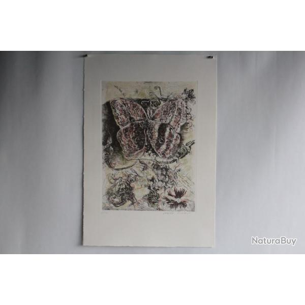 Gravure Eau forte originale Walter Piacesi