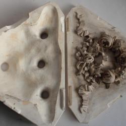 Matrice Moule pl&acirc;tre de staffeur Ornement Roses