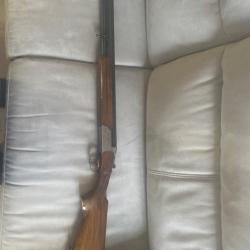 Bergeron diffusion St Etienne