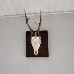 Cherche action 2026/27