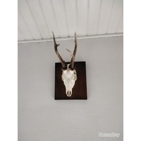 Cherche action 2026/27