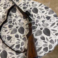 Carabine express chapuis imperial progress 8x57