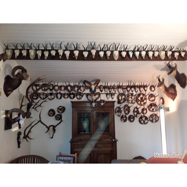 Troph�es de chasse