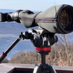 Longue-vue d'observation modulaire compl&egrave;te digiscopie Swarovski STX 115mm