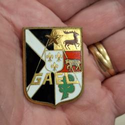 INSIGNE GAEL ( FIA 6 A - 1026 )