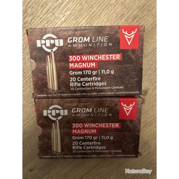 40 Balles PPU Partizan 300 WM 170 Grains