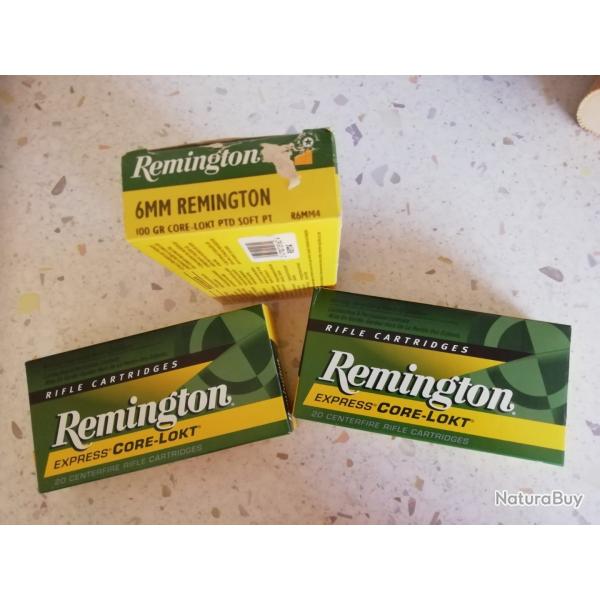 6mm Remignton Core-Lokt 100gr