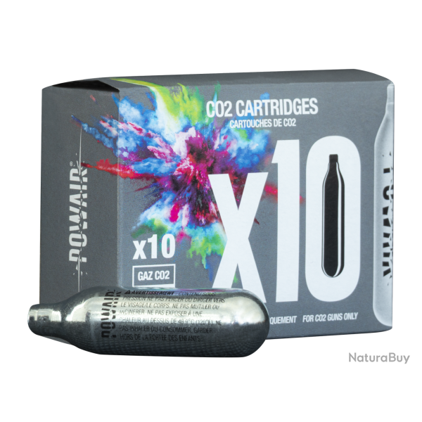CARTOUCHES CO2 8GR X 10