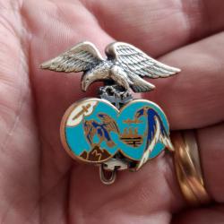 INSIGNE BE 701 SALON DE PROVENCE (DRAGO)