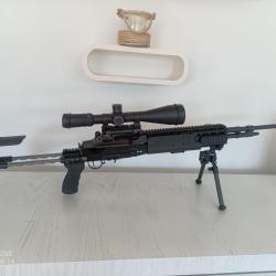 Springfield armory M14 EBR