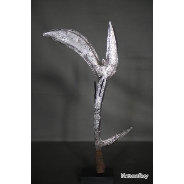 Couteau de jet Bandia Nsakara, Congo RDC , r�publique Centrafricaine, collect� in-situ vers 1910