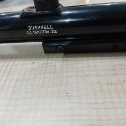 Lunette bushnell 4x custom.22