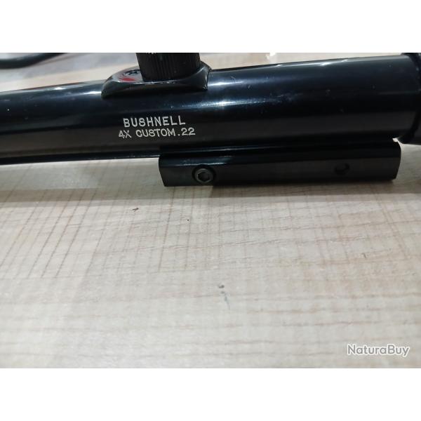 Lunette bushnell 4x custom.22