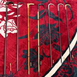 7 cannes Fusils de calibres diff&eacute;rents