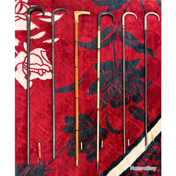 6 cannes Fusils de calibres diff�rents