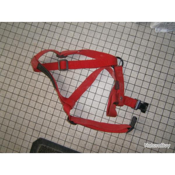 harnais pour chien